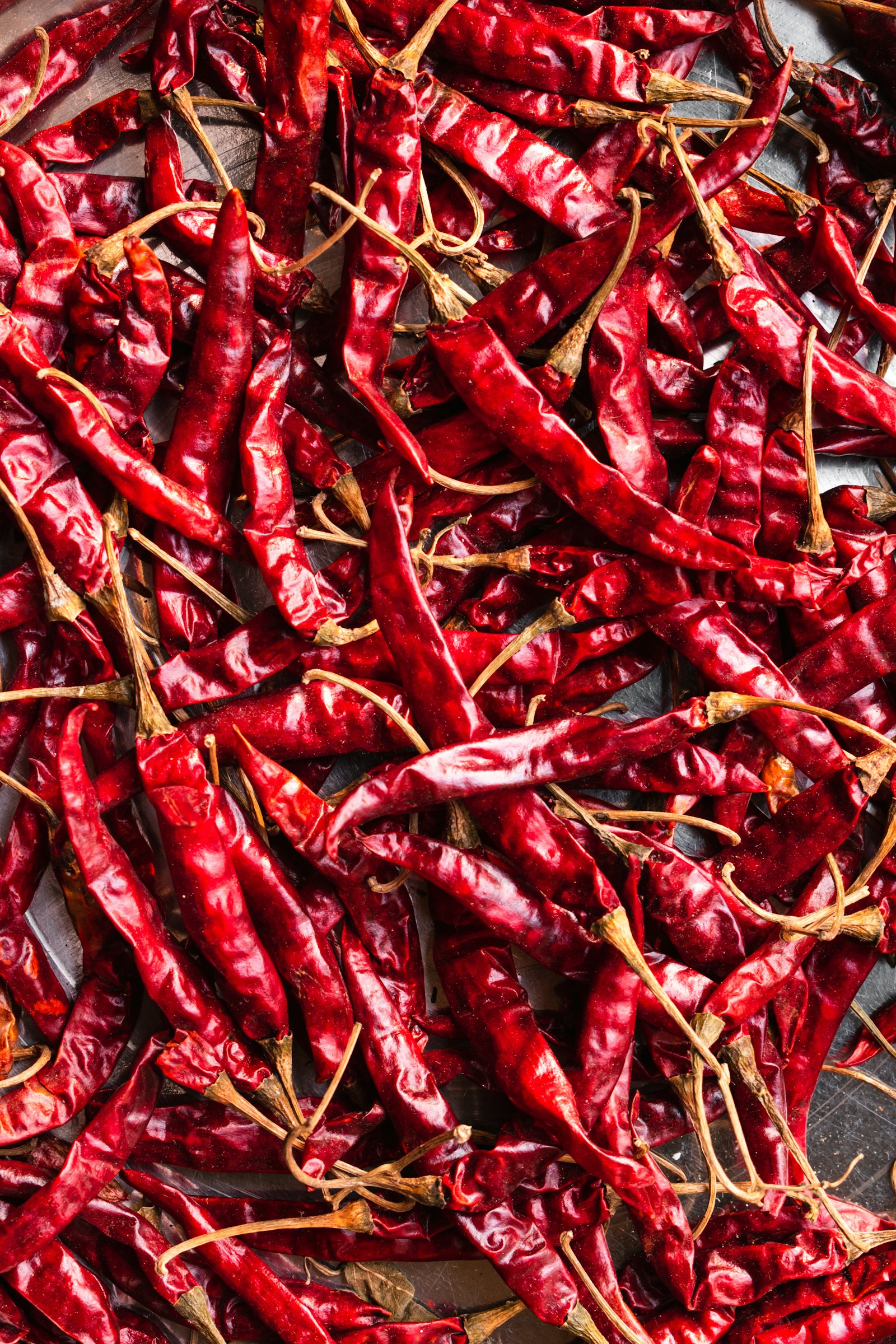 Sun-dried red chillies