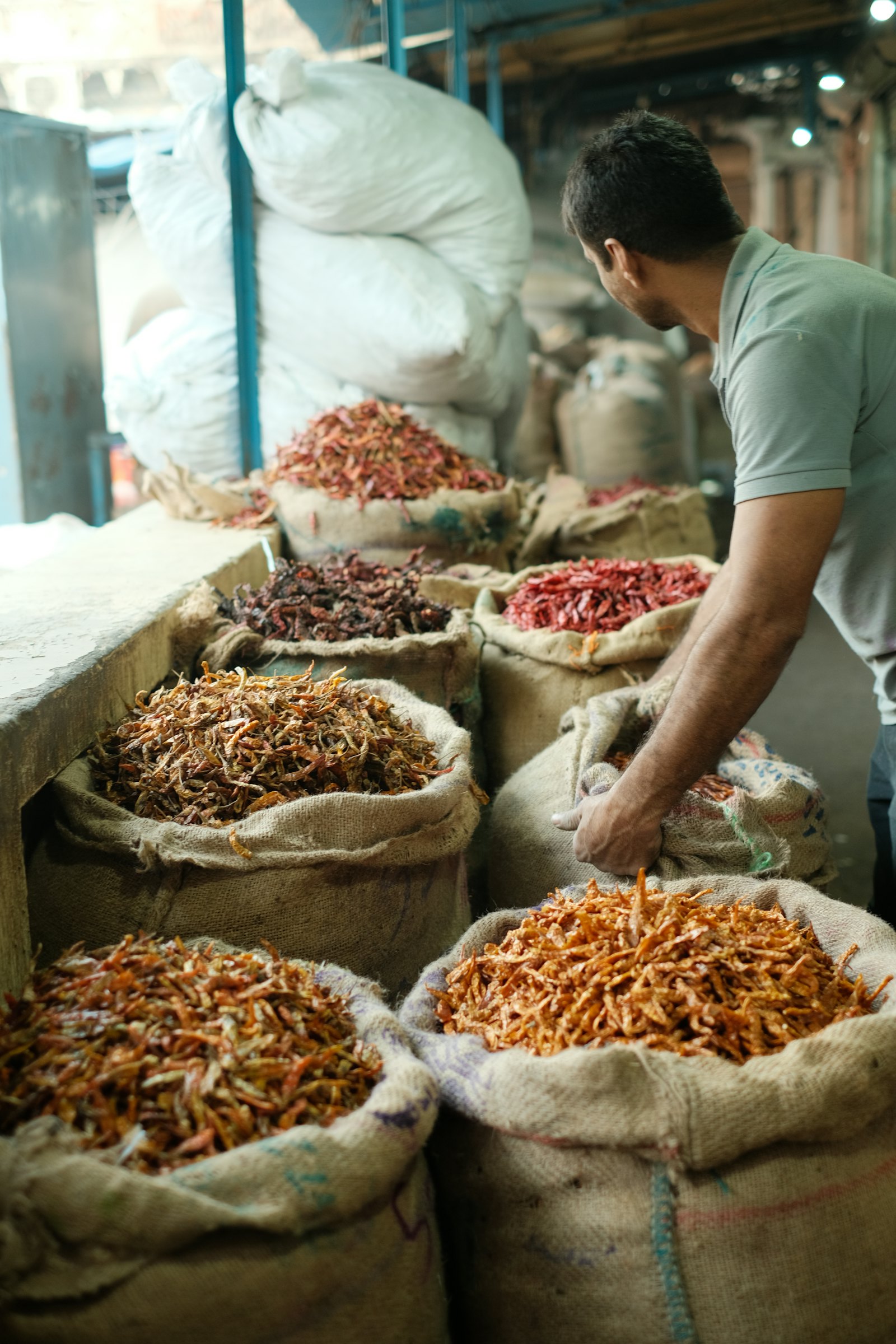 A trader sorting sacks of dried chillies at an Indian wholesale market